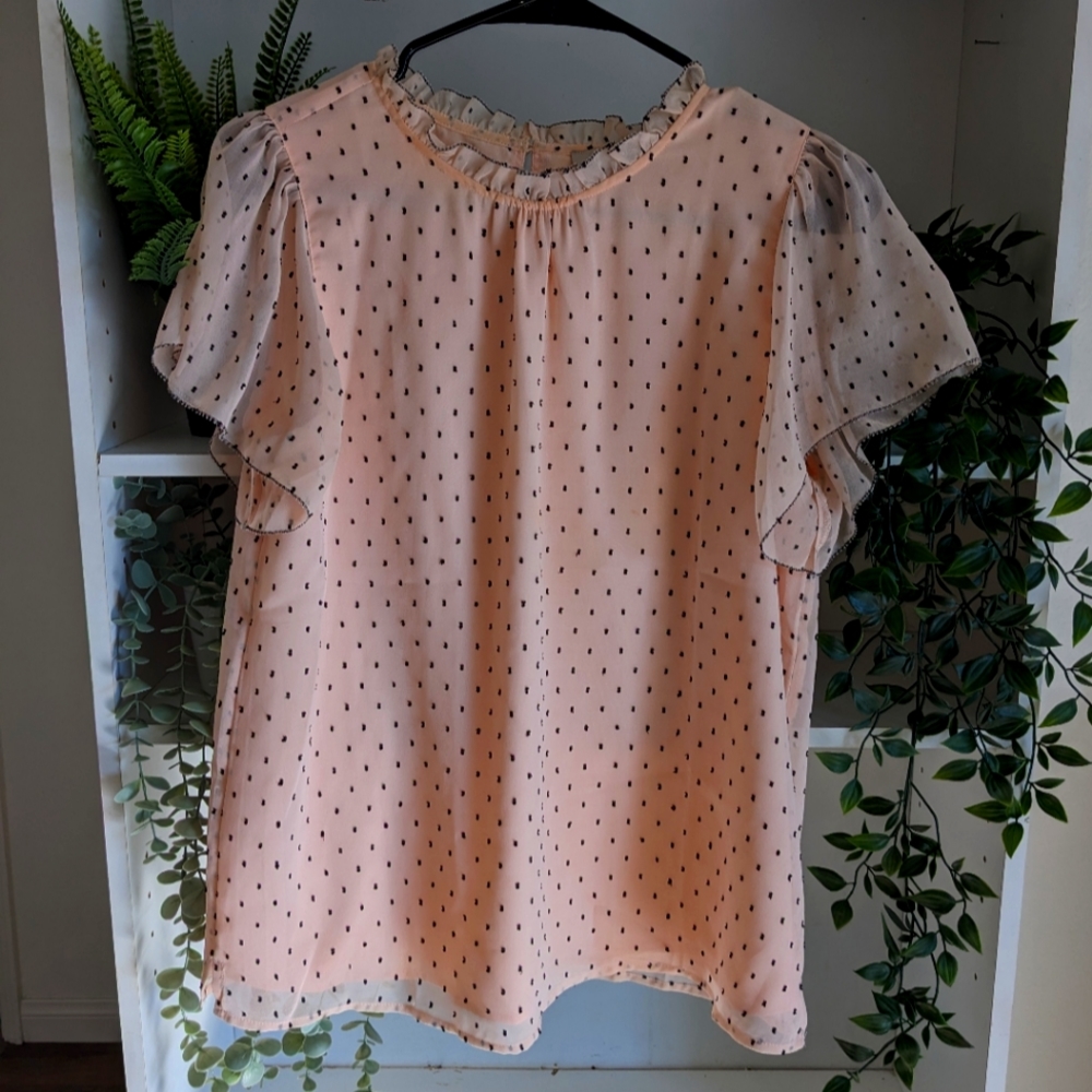 Light Pink Blouse with ruffle neck and sleeves